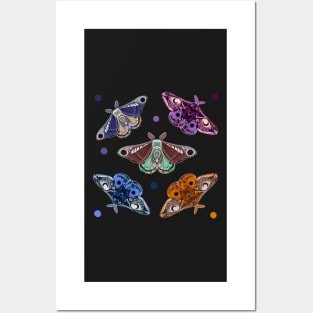 Moth sticker set 1 Posters and Art